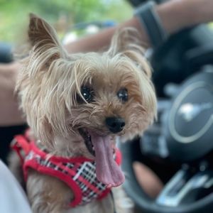 Meet your Posher, Alan